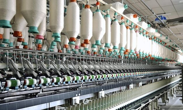 A Comprehensive Analysis of the Textile and Apparel Ecosystem in Tamil Nadu
